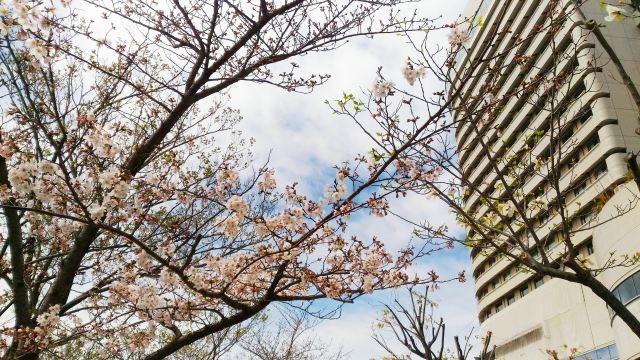 名古屋でオフィスを借りる前に知っておきたいエリア別の賃料相場と特徴